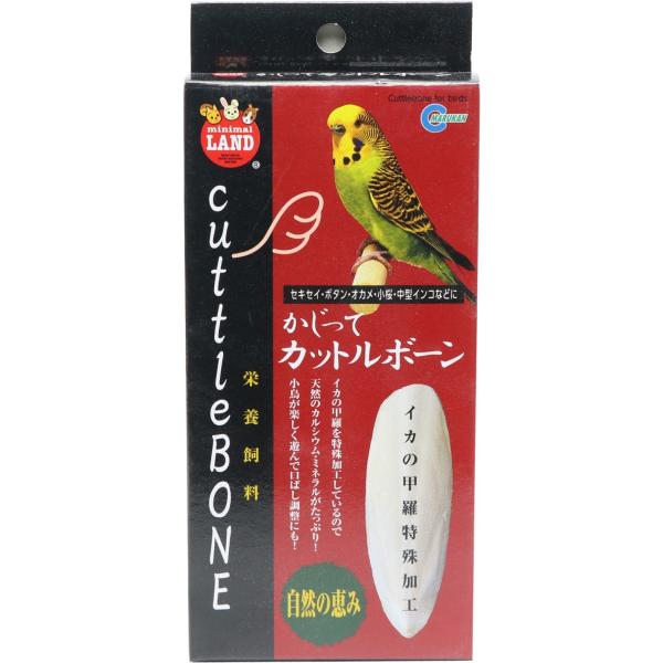 小鳥用 カットルボーン（カトルボーン）2枚入り カルシウム補給 MB-307 マルカン 鳥用サプリ