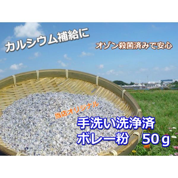 オリジナル ボレー粉50g 手洗い洗浄・オゾン殺菌 カルシウム補給 鳥用サプリ