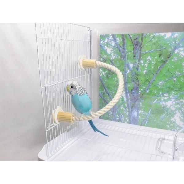 インコのおもちゃ ロープパーチ３７ SANKO