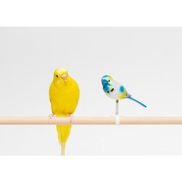 インコのおもちゃ ぷるぷるバード おどるんバード NPF Excel