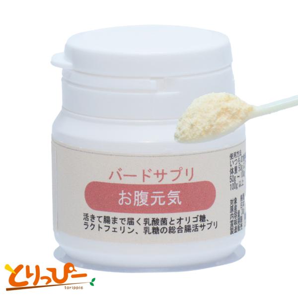 乳酸菌プラスα 30gボトル バードサプリ インコの乳酸菌サプリ (3ヵ月分) 日本製 鳥類用お腹サポートサプリ