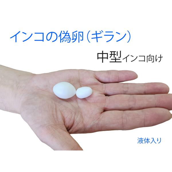 とりっぴー 中型インコ用ギラン（偽卵） 1個 コザクラインコ、ボタンインコ、オカメインコなど 水入り/液体入り