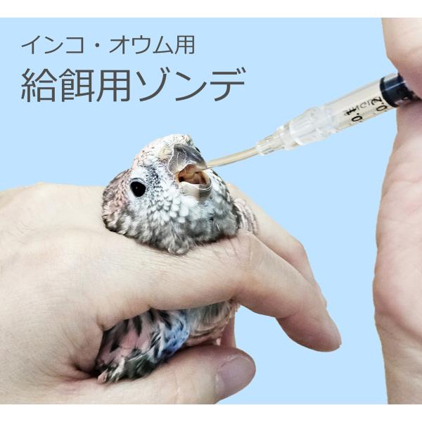 鳥類（インコ・オウム等） 強制給餌用 経口ゾンデ 給餌用チューブ 大小2本セット