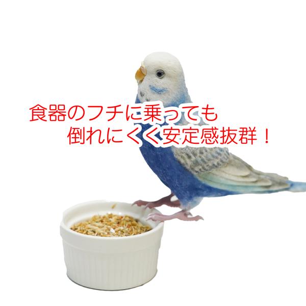 小鳥の倒れない陶器製食器 2個セット エサ皿 水入れ 介護鳥 ヒナ鳥 床置き 鳥用食器