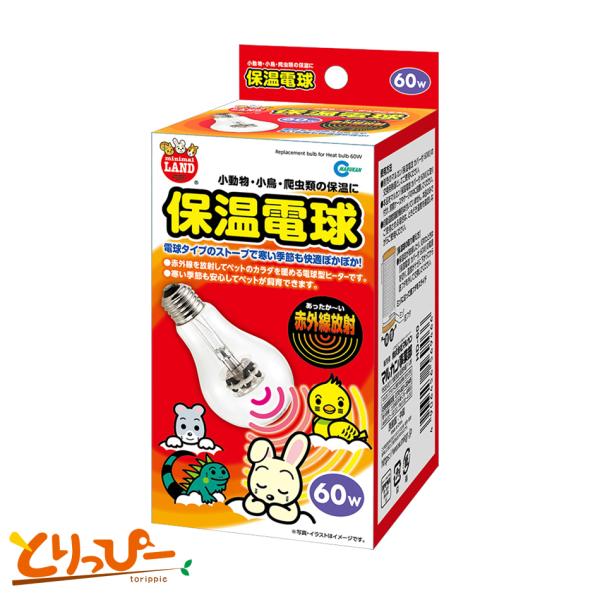 マルカン 保温電球 交換用電球 60W(HD-60)ヒヨコ球・保温球 鳥用保温用品