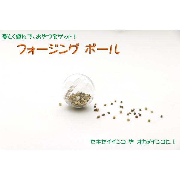 インコのおもちゃ 知育フォージング ボール 30mm セキセイインコやオカメインコに