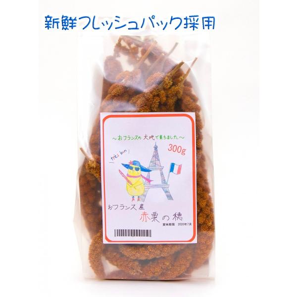 フランス産 高級 赤粟の穂300gパック 赤粟穂 新鮮フレッシュ袋採用 鳥のおやつ・シード