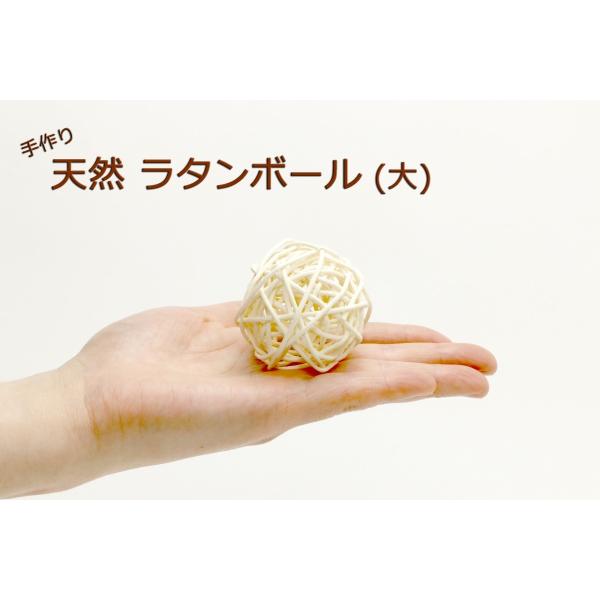 インコのおもちゃ 天然ラタンボール/マンチボール（大）×5個セット