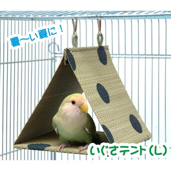 インコのおもちゃ 小鳥用 国産いぐさテント(L) ブルー(インコのテント・ベッド・ハウス)