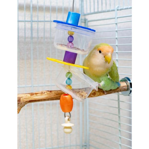 インコのおもちゃ フォージングカップ ALOHA HEAVEN(アロハヘブン)