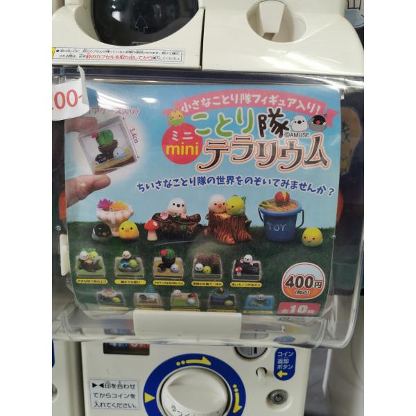 ガチャ/ガチャガチャ/カプセルトイ ことり隊 ミニテラリウム 200-B | とりっぴー インコのおもちゃ