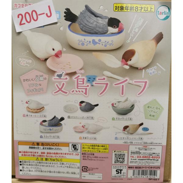 ガチャ/ガチャガチャ/カプセルトイ 文鳥ライフ ぶんちょう 200-J | とりっぴー インコのおもちゃ