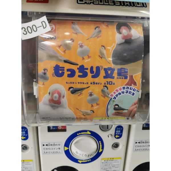 ガチャ/ガチャガチャ/カプセルトイ もっちり文鳥 300-D| とりっぴー インコのおもちゃ