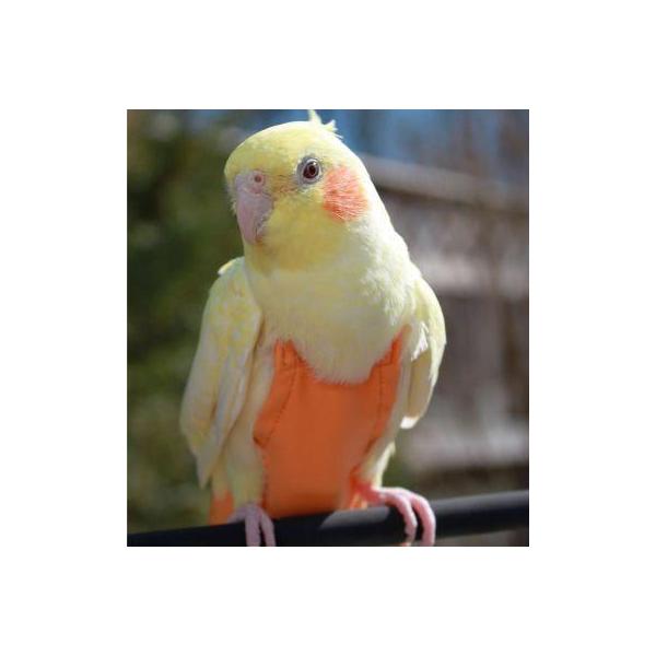 AVIAN FASHIONS フライトスーツ各種 インコ・オウムの服 | 放鳥時の糞対策、お散歩に