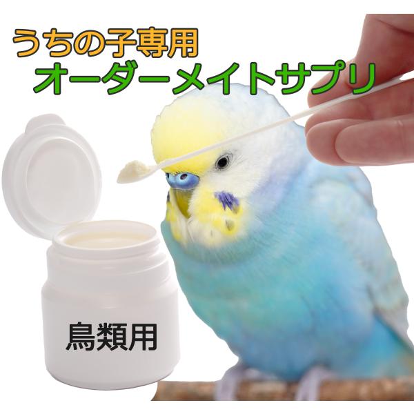 うちの子専用 愛鳥のオーダーメイド サプリメント 50g 鳥用サプリ