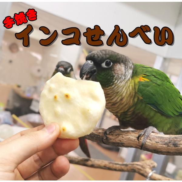 小鳥のための手焼きおせんべい 1枚入 インコのお煎餅