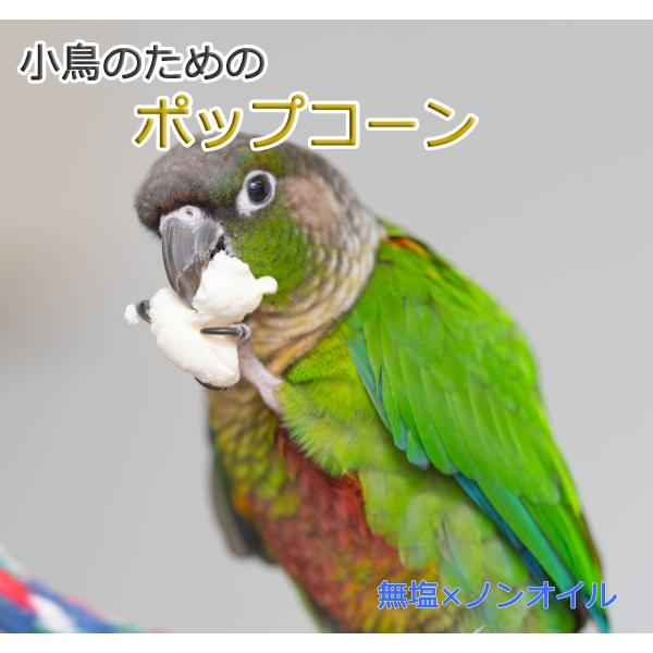 インコのおやつ 小鳥のためのポップコーン 無塩、無油で低カロリーおやつ