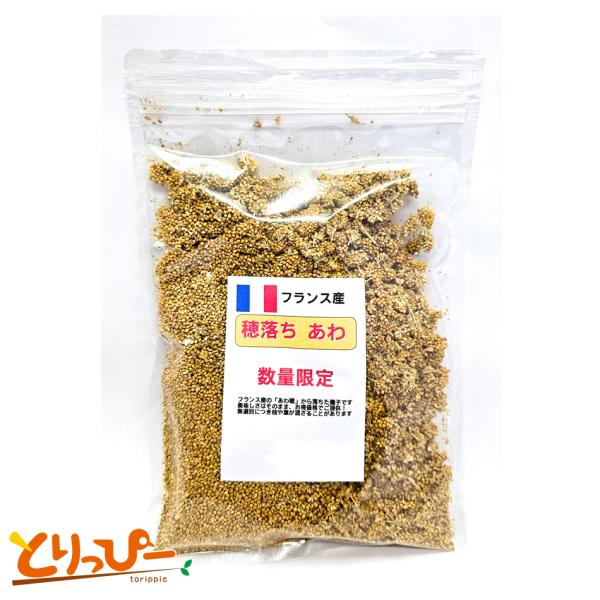 訳あり フランス産 穂外れ あわ（粟） 0.6L（約300g） お買い得品