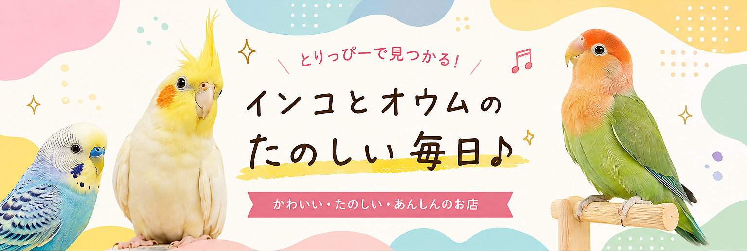 とりっぴーで見つかる！ インコとオウムのたのしい毎日。かわいい・たのしい・あんしんのお店